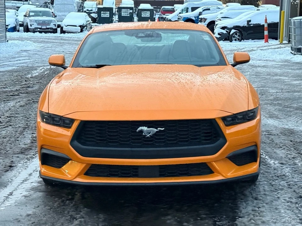 2026 Ford S650 Mustang - Image 10 of 12