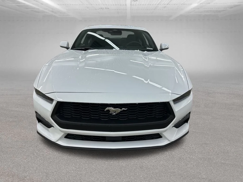 2026 Ford S650 Mustang - Image 3 of 12