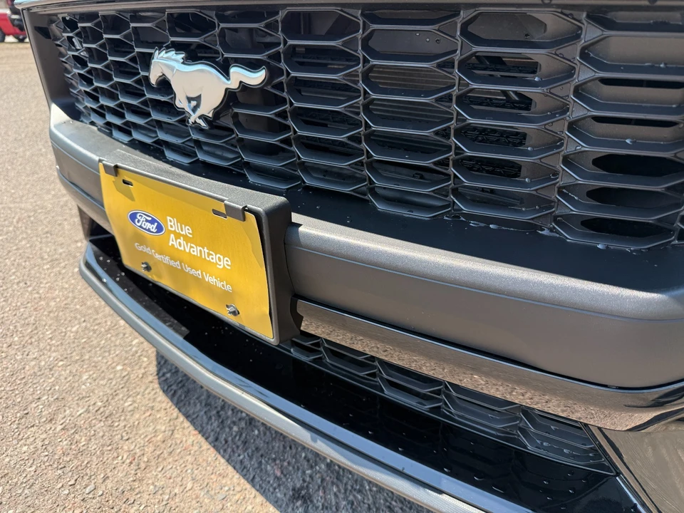 2026 Ford S650 Mustang - Image 11 of 31