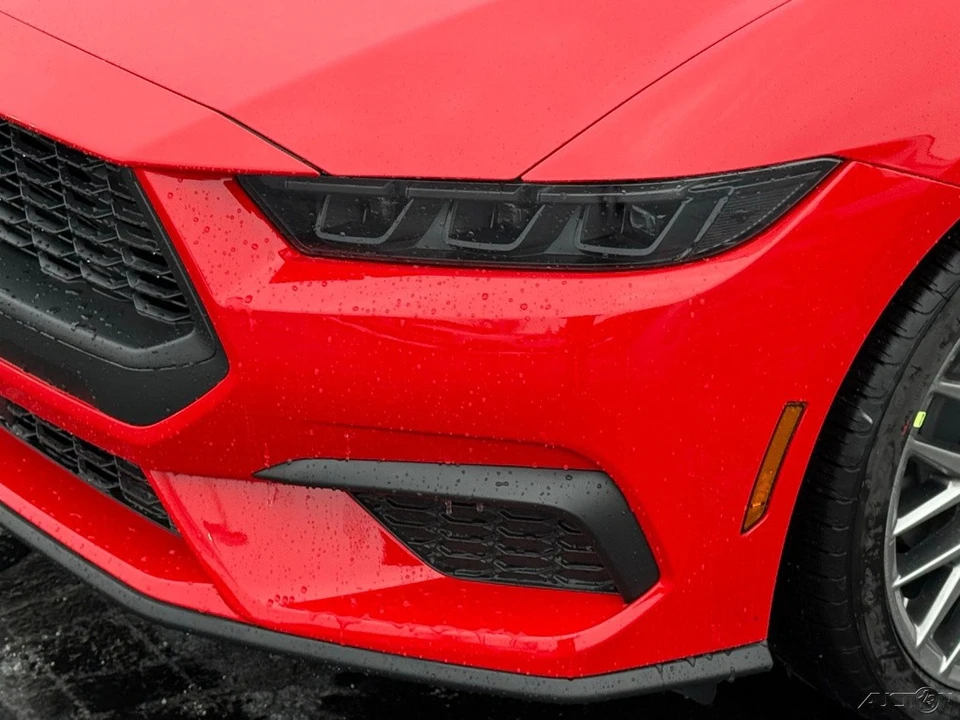 2026 Ford S650 Mustang - Image 11 of 12