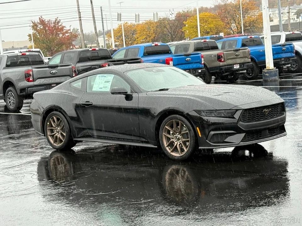 2026 Ford S650 Mustang - Image 9 of 12