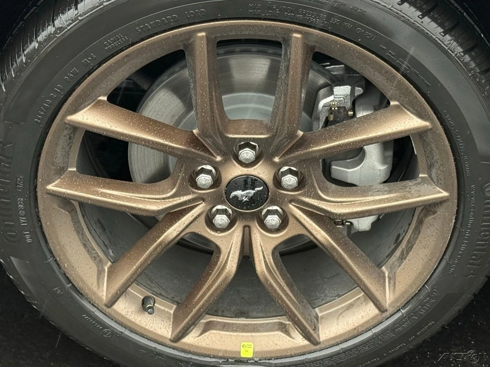 2026 Ford S650 Mustang - Image 10 of 24