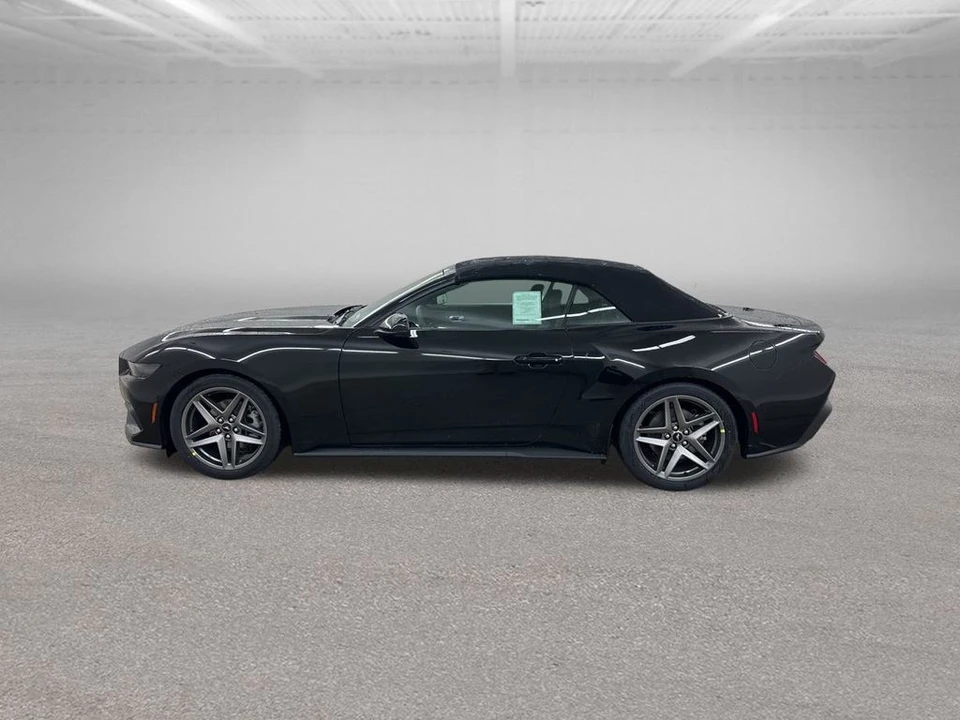 2026 Ford S650 Mustang - Image 6 of 12
