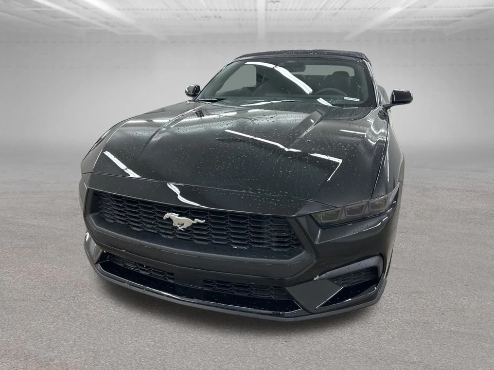 2026 Ford S650 Mustang - Image 4 of 12