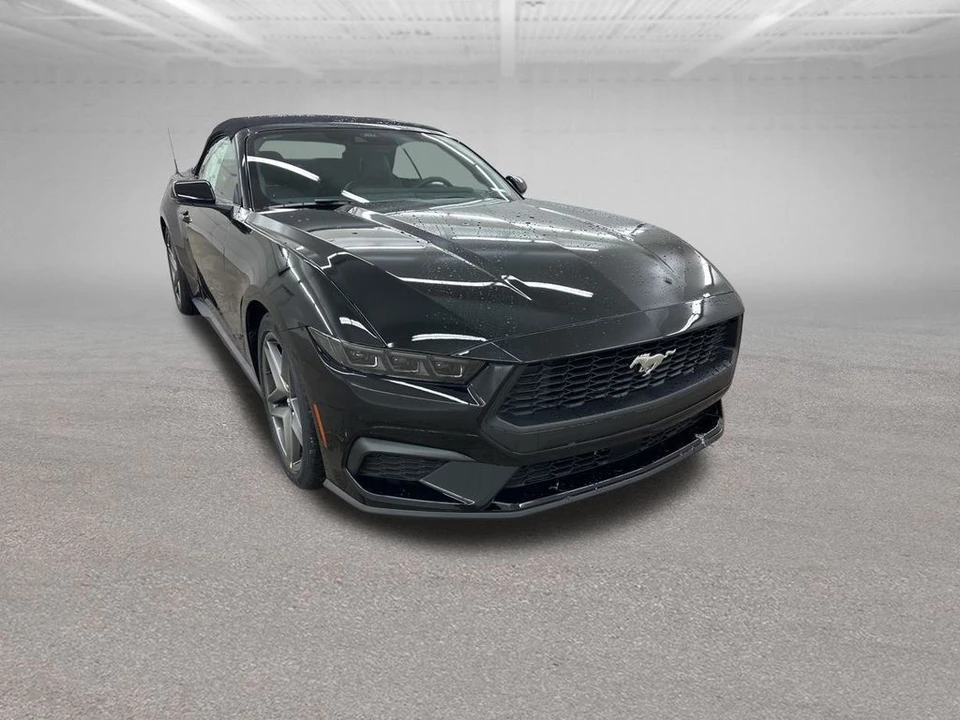 2026 Ford S650 Mustang - Image 2 of 12