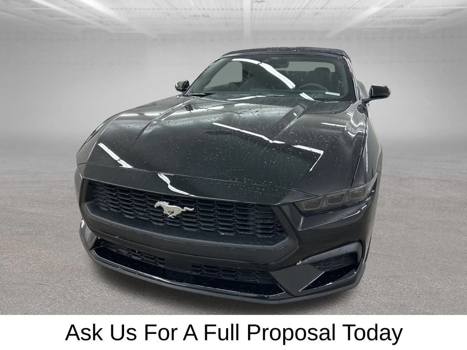 2026 Ford S650 Mustang - Image 4 of 12