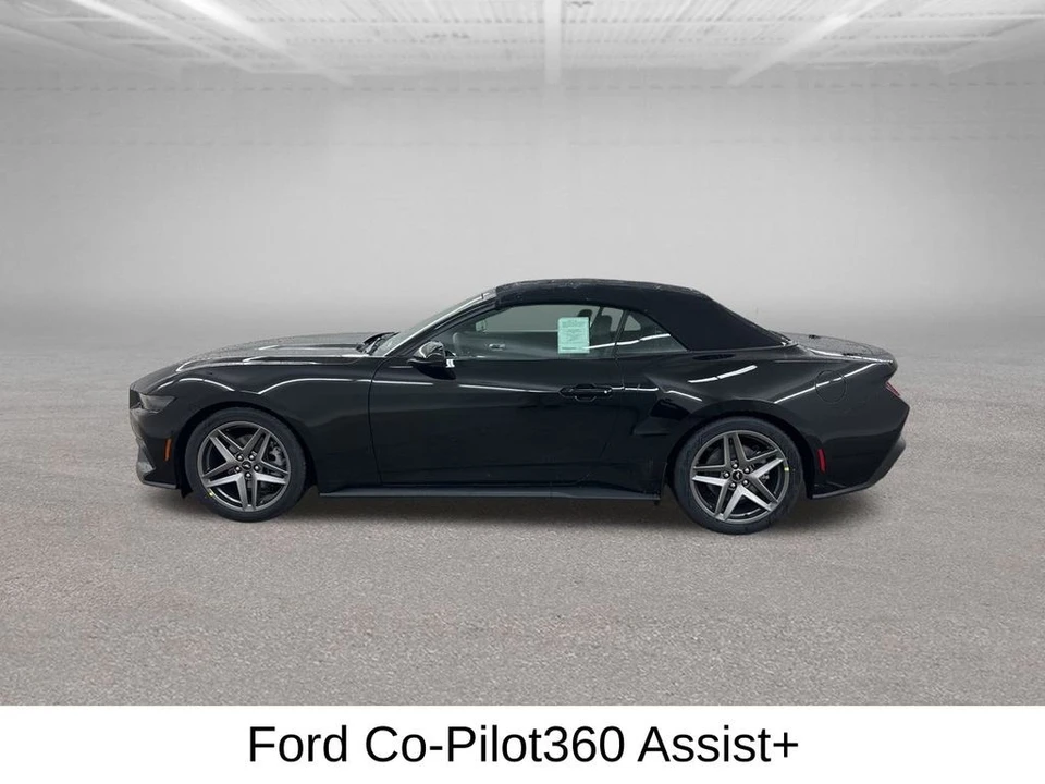 2026 Ford S650 Mustang - Image 6 of 12