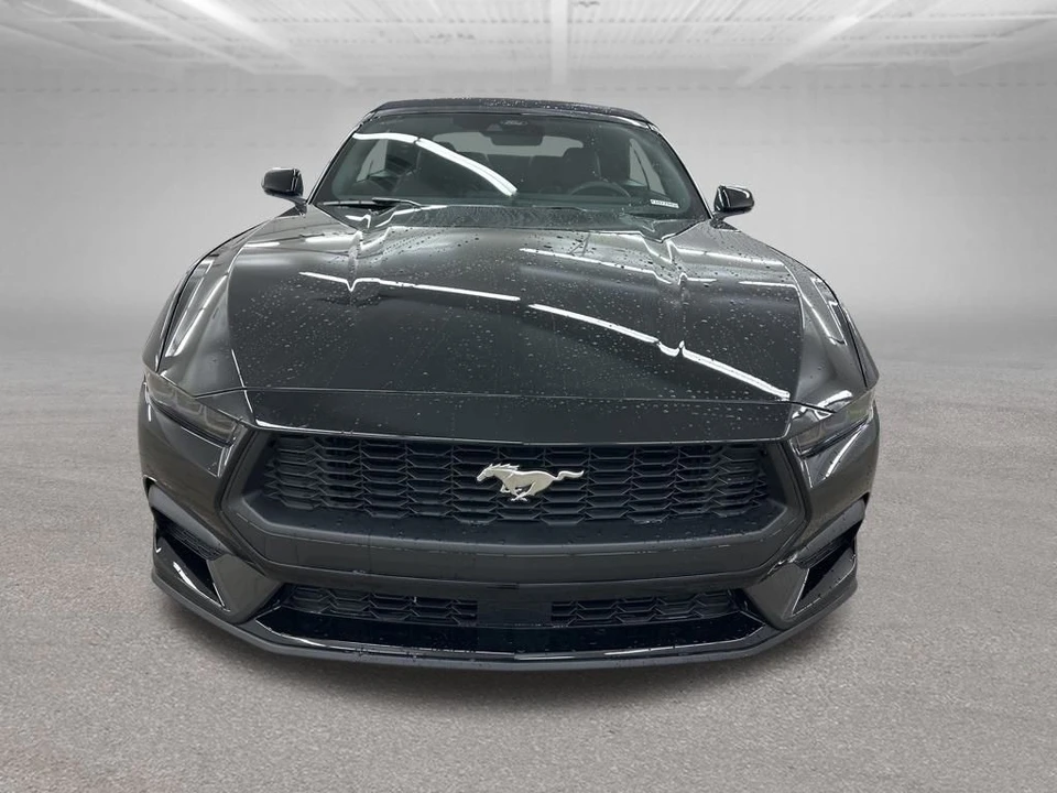 2026 Ford S650 Mustang - Image 3 of 12