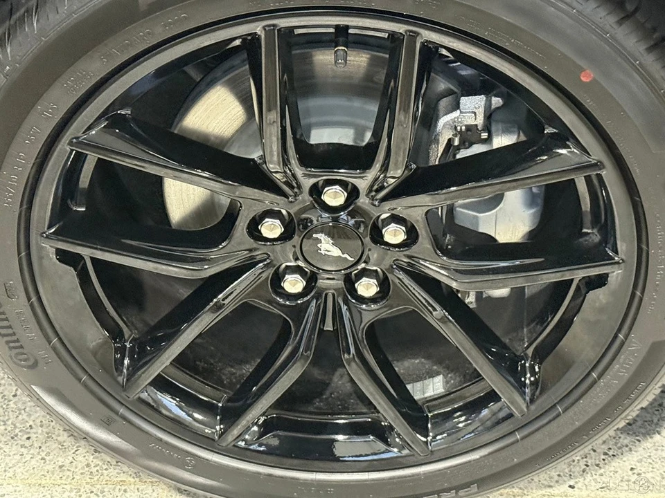 2026 Ford S650 Mustang - Image 13 of 21