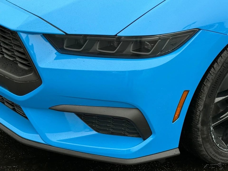 2026 Ford S650 Mustang - Image 11 of 12