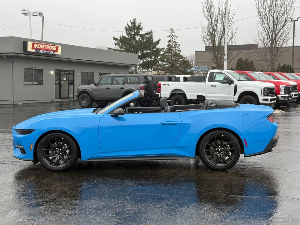 2026 Ford S650 Mustang - Image 2 of 12