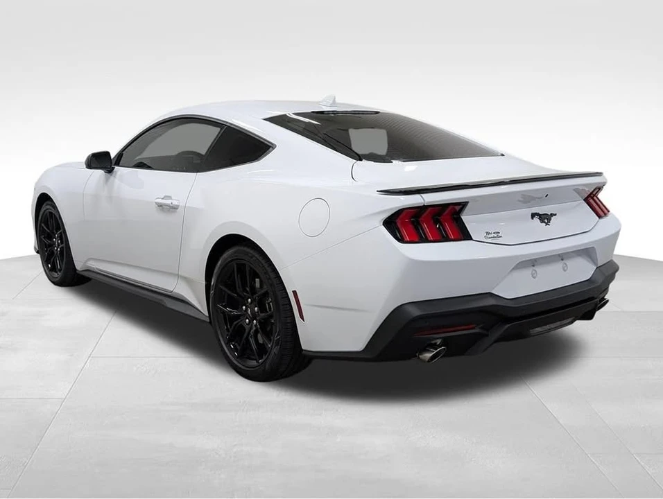 2026 Ford S650 Mustang - Image 19 of 20