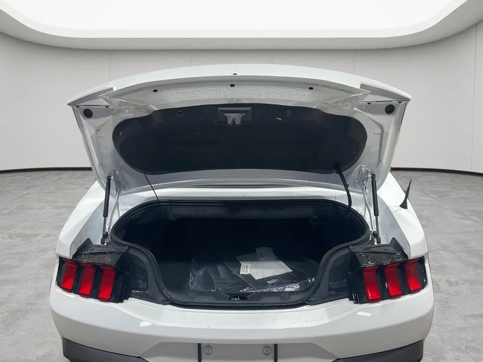 2026 Ford S650 Mustang - Image 19 of 19