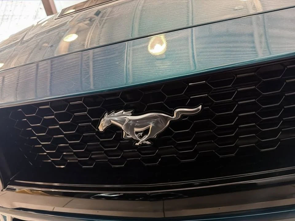 2026 Ford S650 Mustang GT - Image 7 of 20
