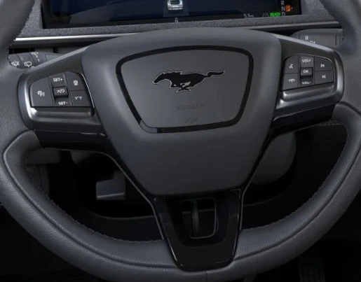 2026 Ford Mustang Mach-E - Image 10 of 12