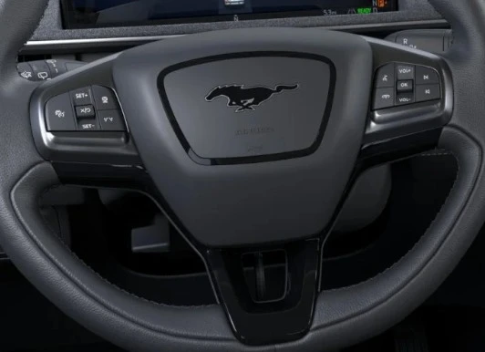 2026 Ford Mustang Mach-E - Image 10 of 12