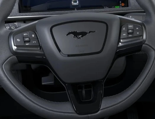 2026 Ford Mustang Mach-E - Image 10 of 12