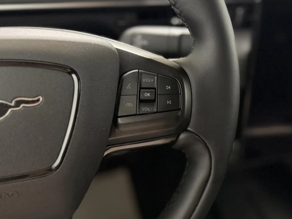 2026 Ford Mustang Mach-E - Image 19 of 20