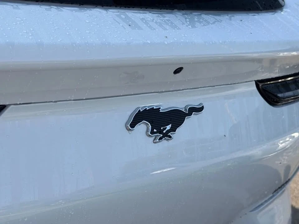 2026 Ford Mustang Mach-E - Image 14 of 20