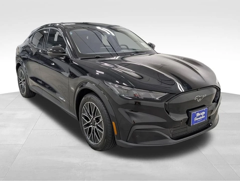 2026 Ford Mustang Mach-E - Image 19 of 20