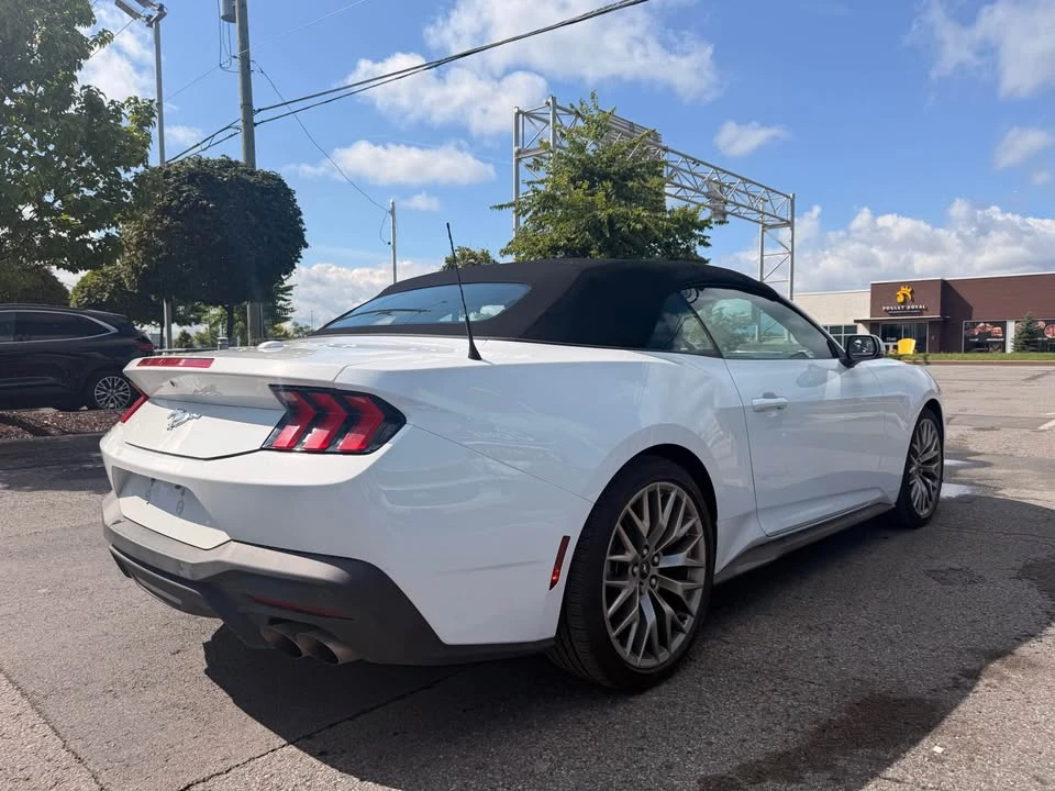 2026 Ford S650 Mustang - Image 4 of 4