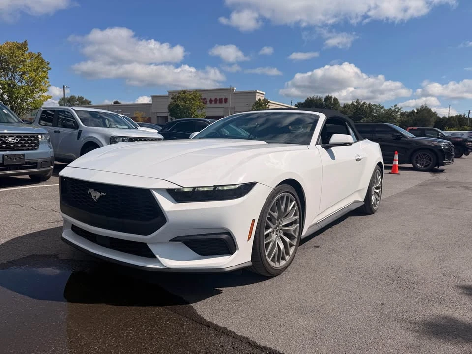 2026 Ford S650 Mustang - Image 3 of 4