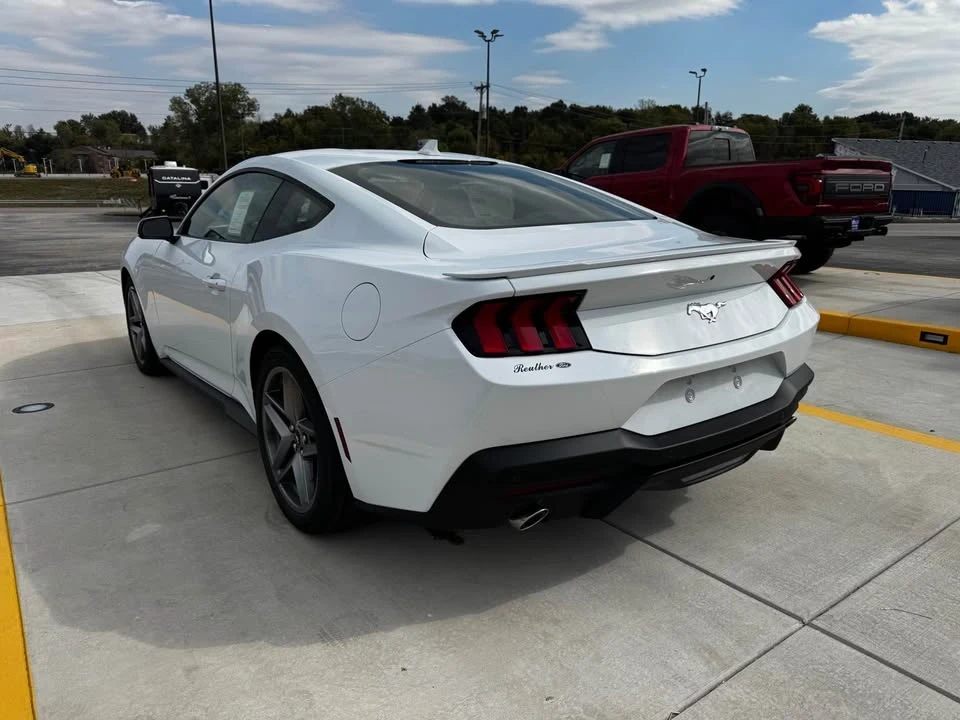 2026 Ford S650 Mustang - Image 5 of 13