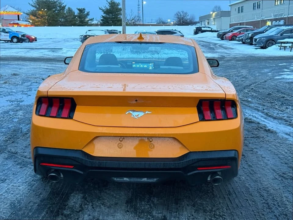 2026 Ford S650 Mustang - Image 4 of 14