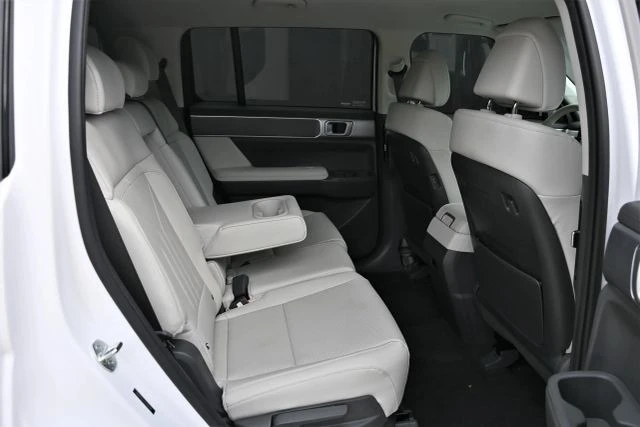 2026 Hyundai Santa Fe - Image 20 of 21