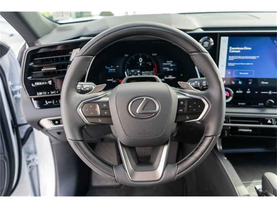 2026 Lexus RX 5th Gen - Image 10 of 12