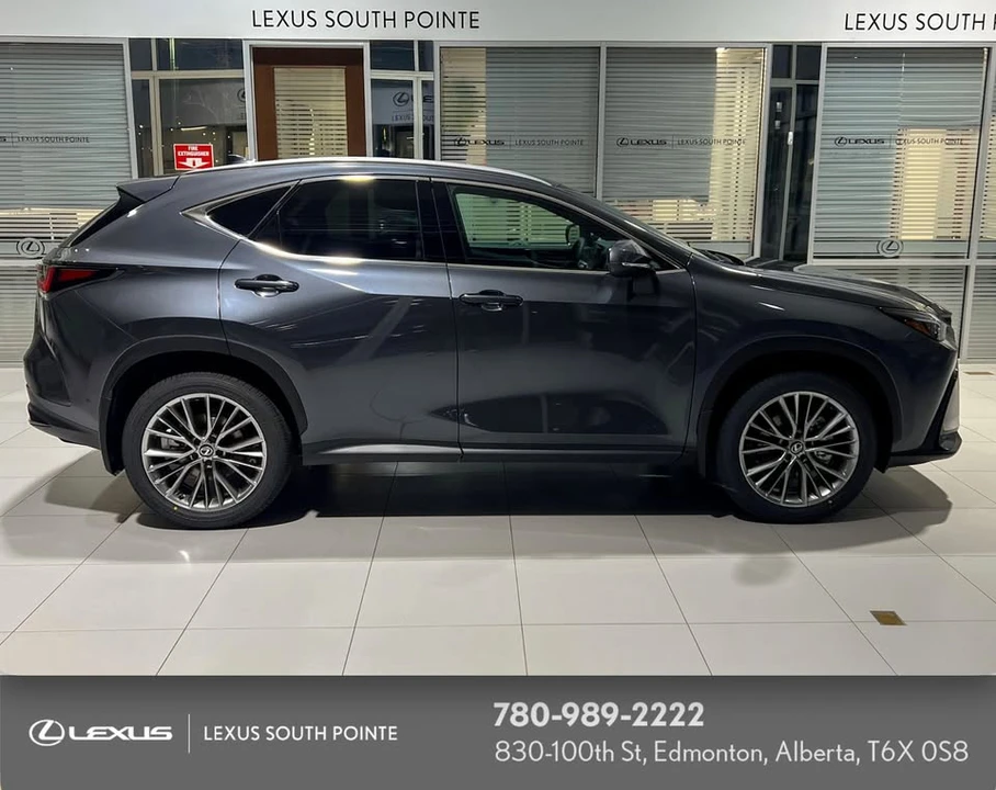 2026 Lexus NX 2nd Gen - Image 2 of 20