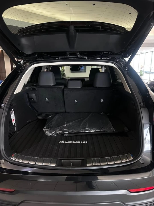 2026 Lexus NX 2nd Gen - Image 10 of 10