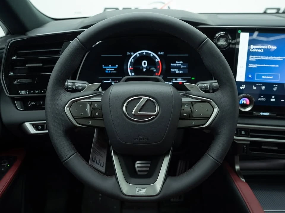 2026 Lexus RX 5th Gen - Image 19 of 20