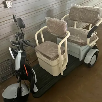 2026 Mini Electric Golf Cart MGC40