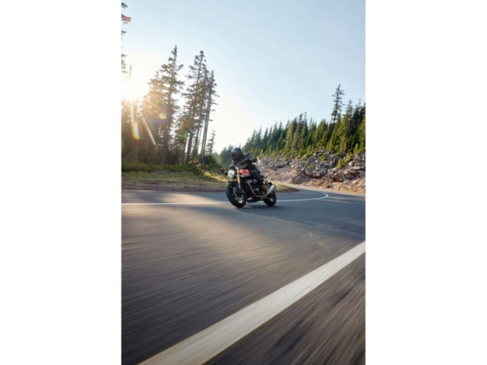 2026 Triumph Speed Twin 1200 - Image 16 of 19