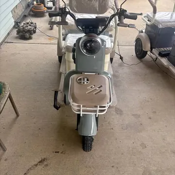 2026 Mini Classic Mini Irgc40