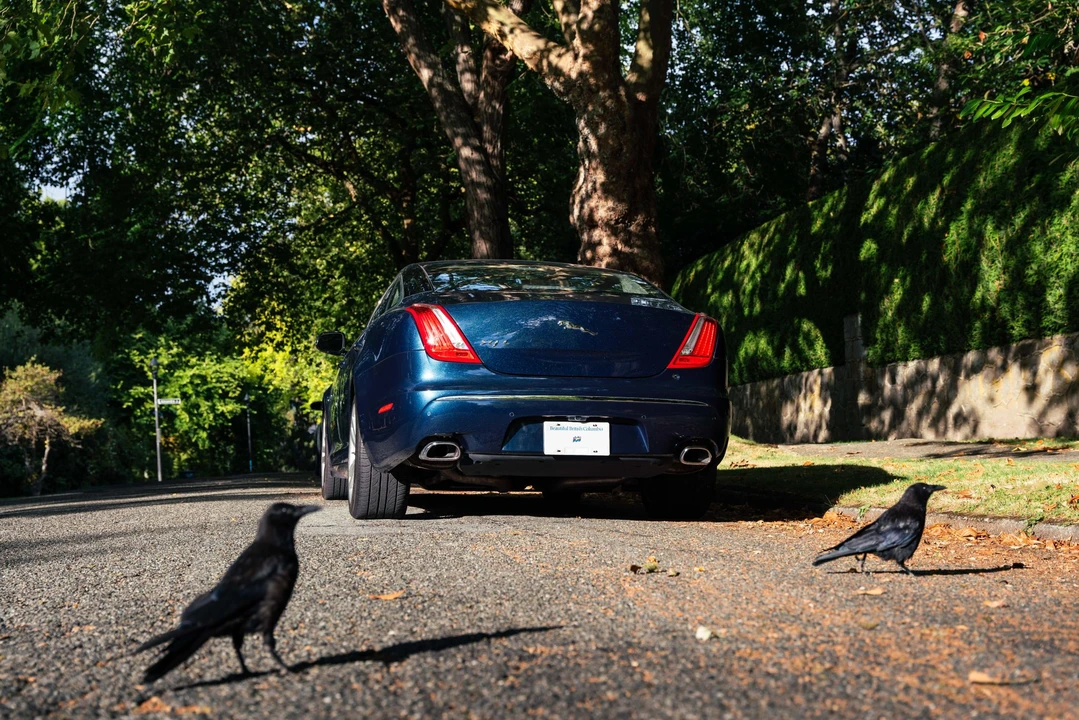 2011 Jaguar X351 XJ - Image 12 of 31