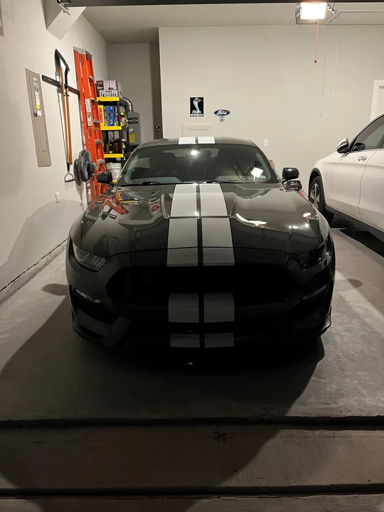 2018 Ford S550 Shelby Mustang GT350 - Image 23 of 31