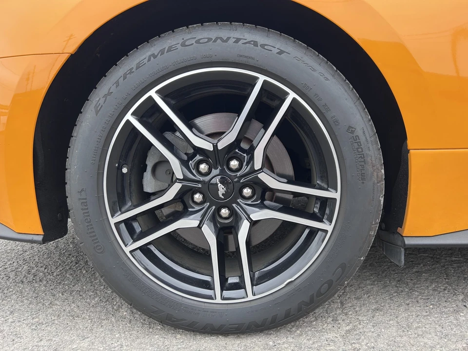 2019 Ford S550 Mustang - Image 25 of 31
