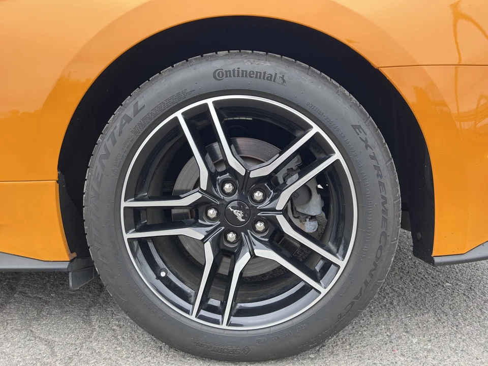 2019 Ford S550 Mustang - Image 24 of 31