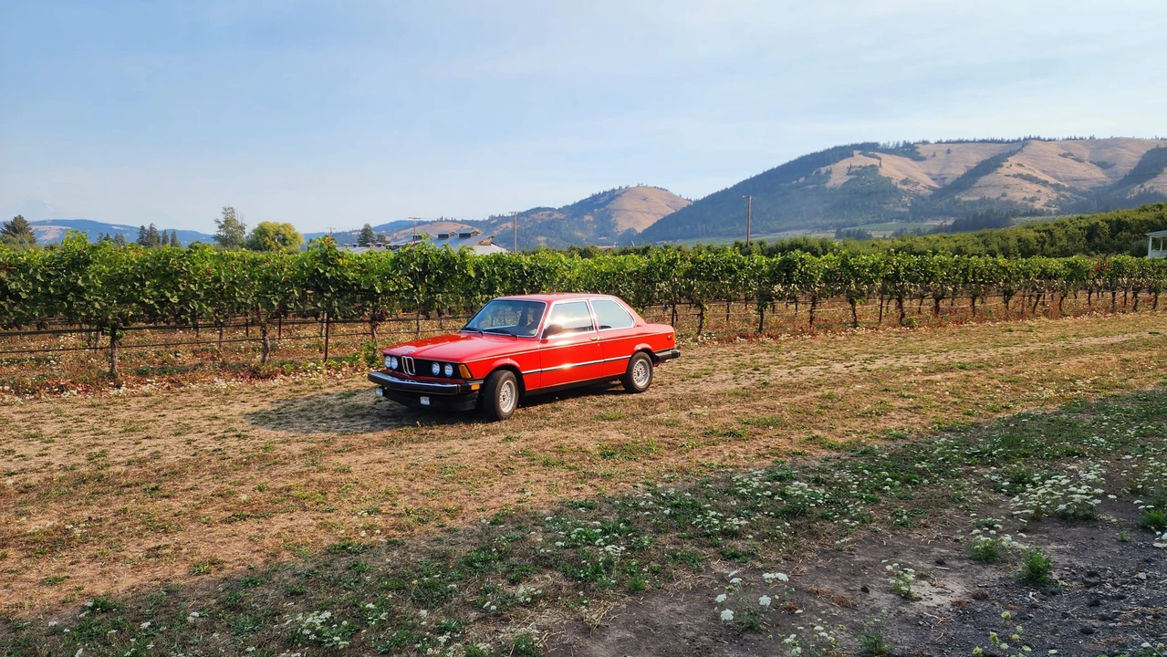 1983 BMW E21 3 Series - Image 6 of 31
