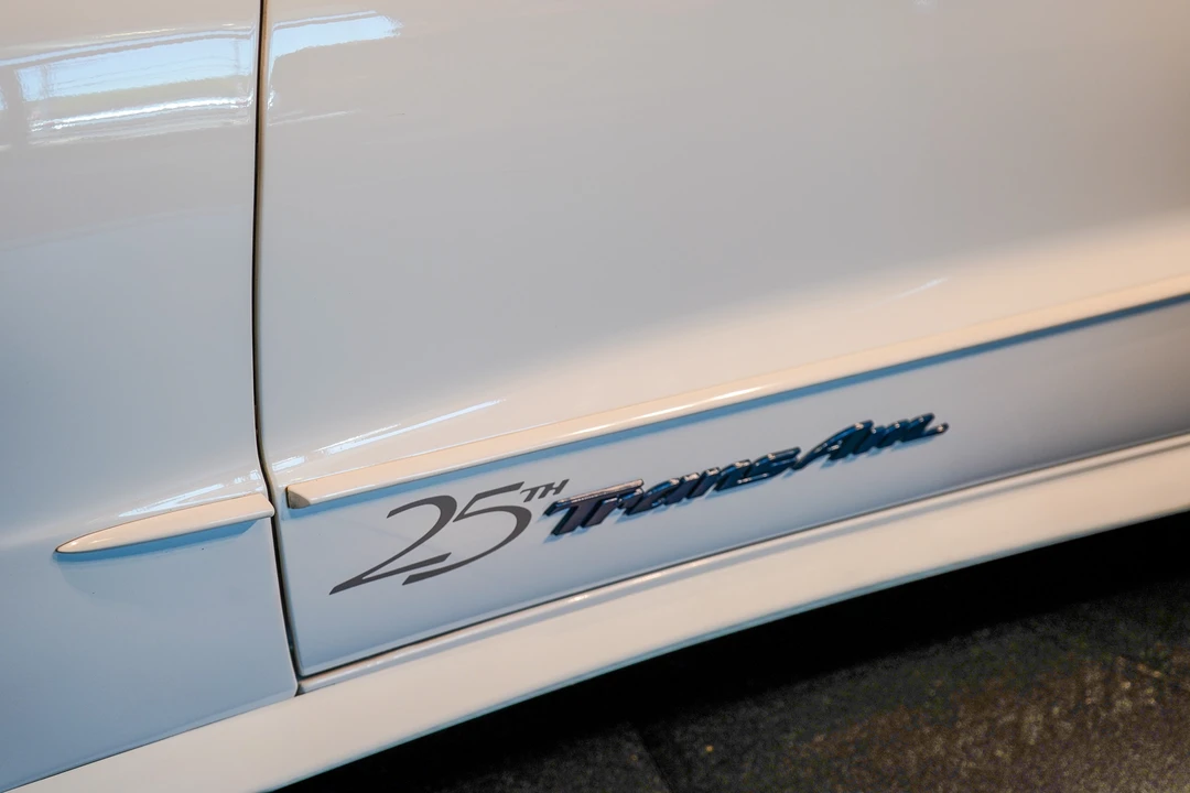 1994 Pontiac Firebird Trans Am 4th Gen - Image 17 of 31