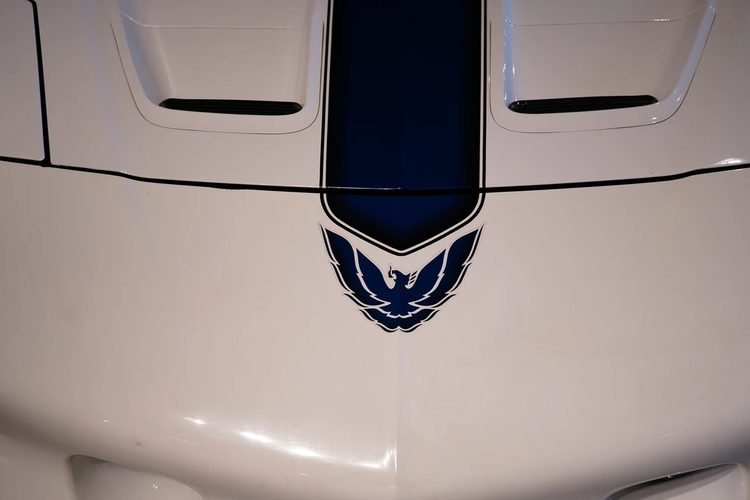 1994 Pontiac Firebird Trans Am 4th Gen - Image 12 of 31