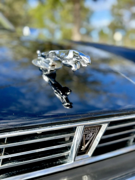 1986 Jaguar XJS Pre-Facelift V12 - Image 23 of 31