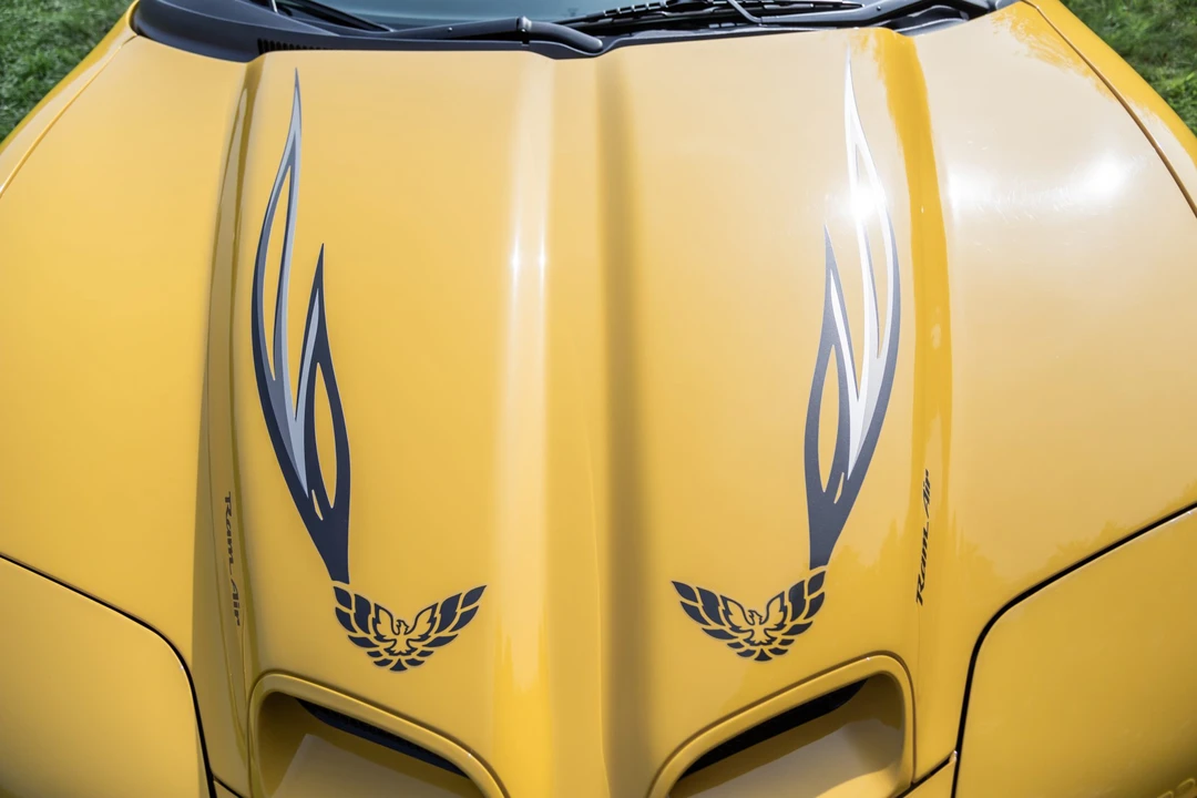 2002 Pontiac Firebird Trans Am 4th Gen - Image 31 of 31