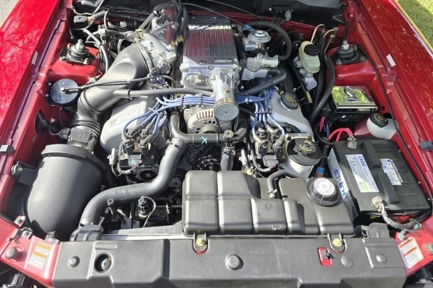 1998 Ford SN95 Mustang Cobra - Image 6 of 8