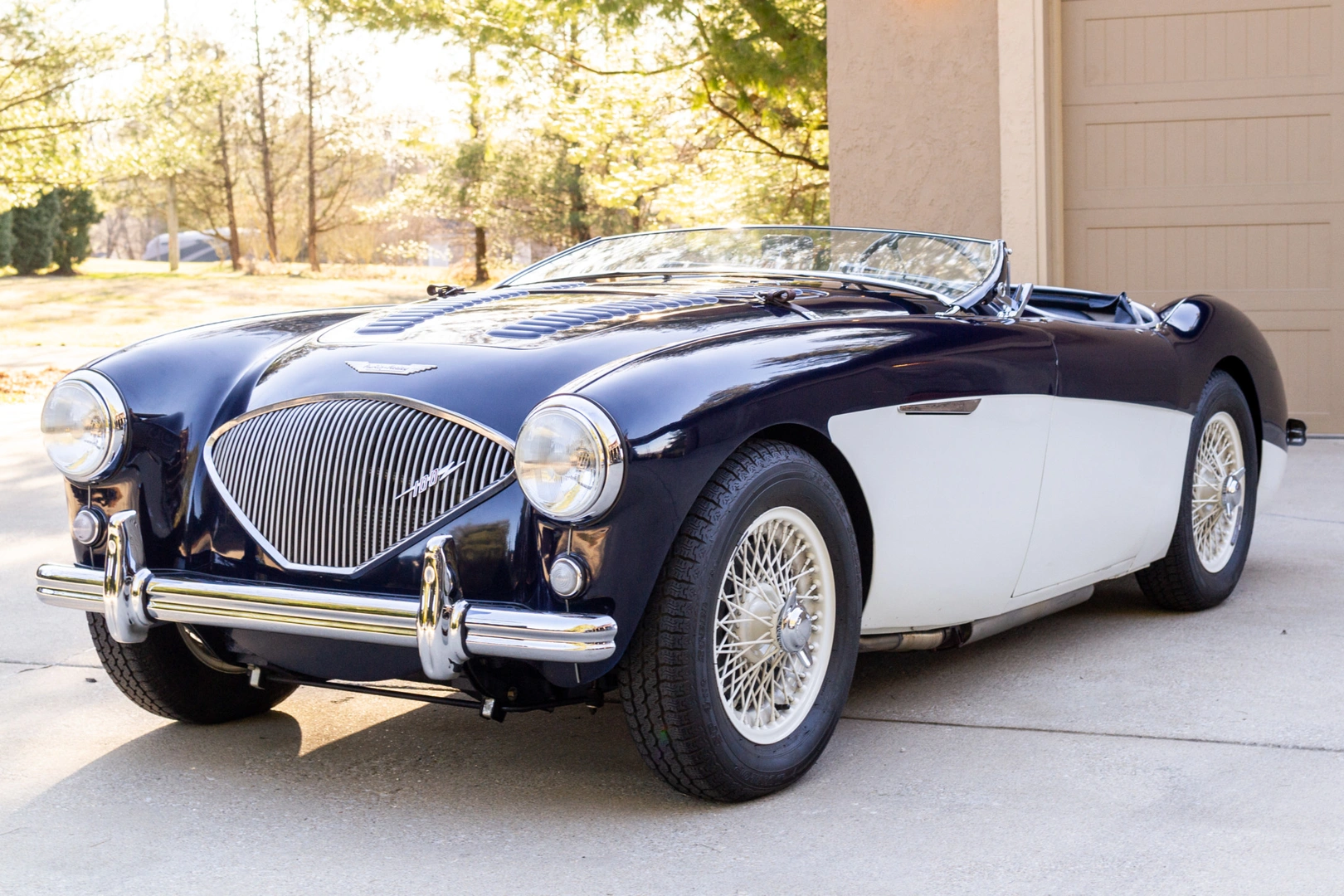 healey1955