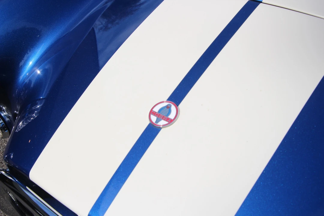 Shelby Cobra Replica - Image 23 of 31