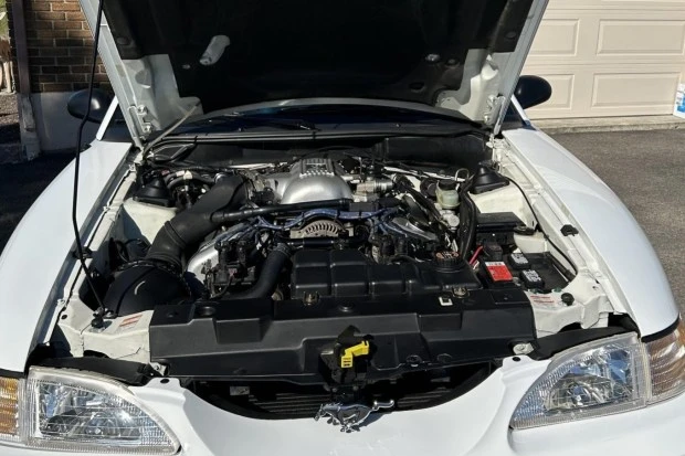 1998 Ford SN95 Mustang Cobra - Image 6 of 8