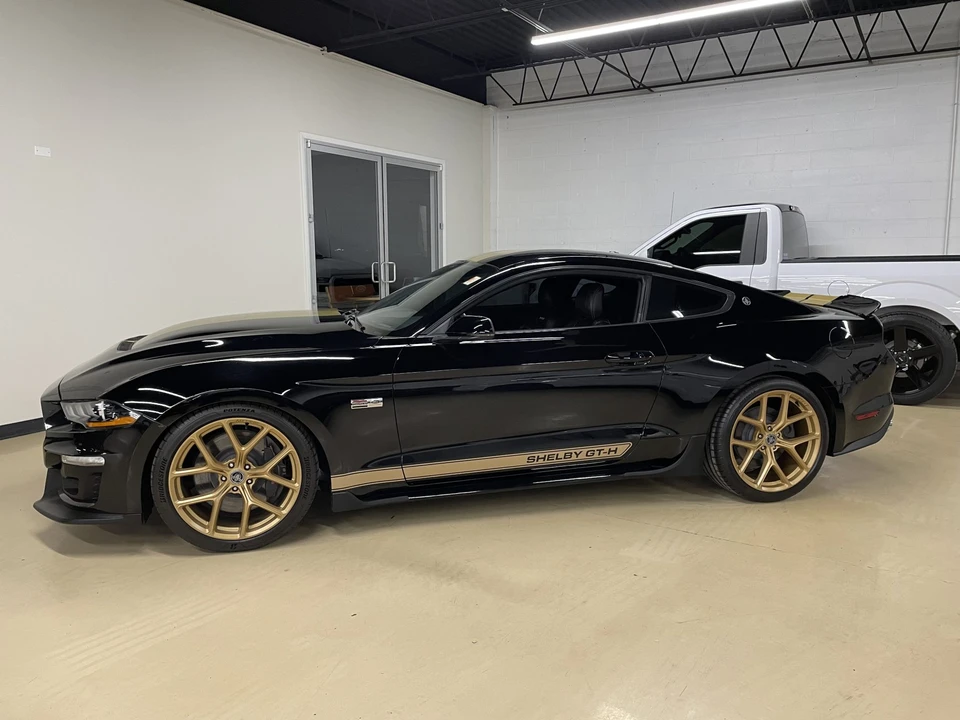2019 Ford S550 Shelby Mustang GT & GT-H & Terlingua & GTE - Image 6 of 31